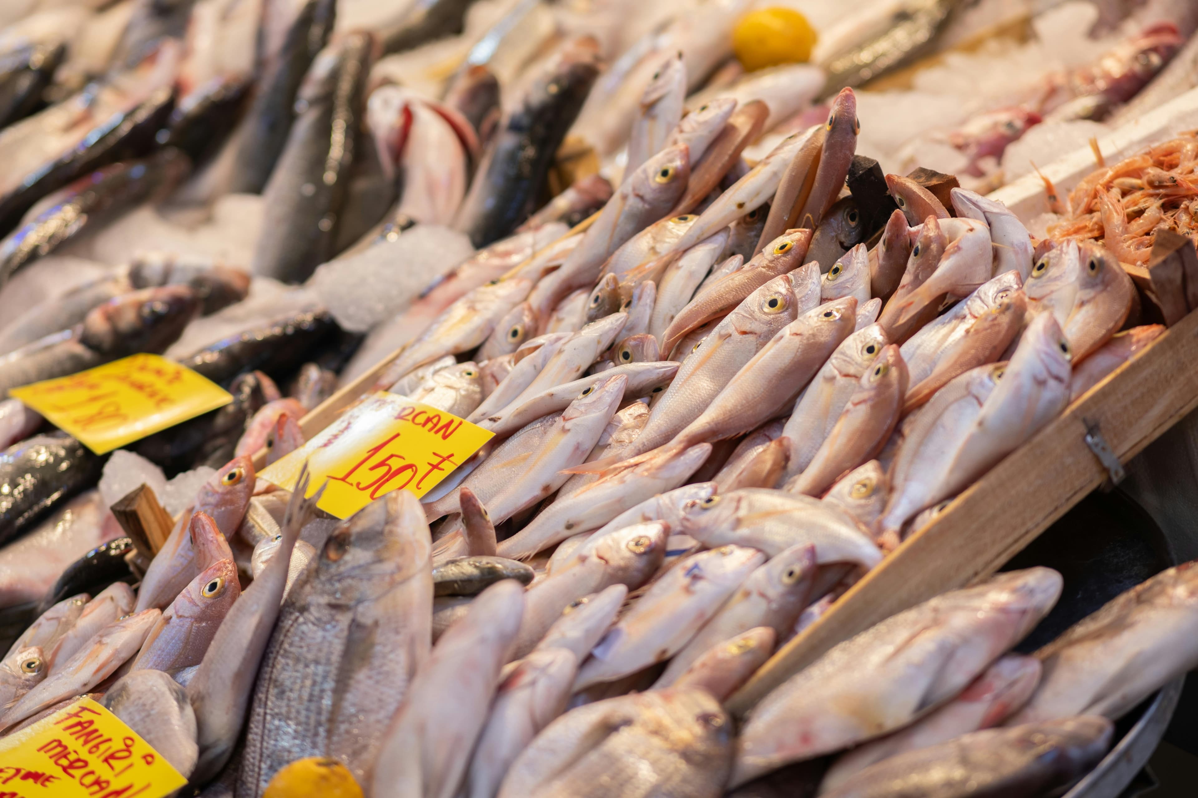 Seafood